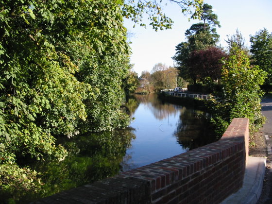 riverdale 004 for web04